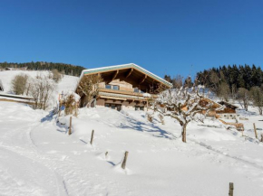 Apartment near the ski area